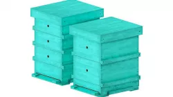 Beehive combination 3D model
