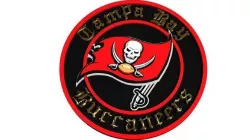 Buccaneers - Tampa Bay disc 2 3D model