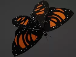 Butterfly animated and fully rigged Low-poly 3D model