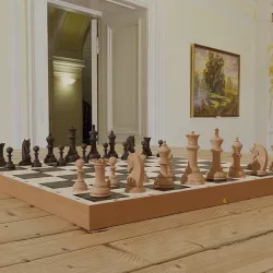 Chessboard model cobined with backgammon 3D model
