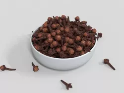 Clove spice 3D model