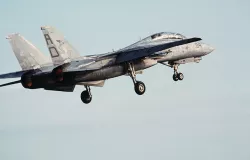 F-14 Tomcat 3D model