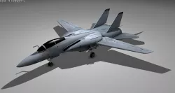F14 TOMCAT Low-poly 3D model