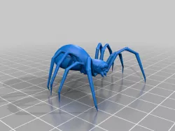 grounded orb spider