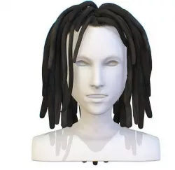 Hairstyle Dreadlocks Black Low-poly 3D model