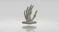 Helping Hand 