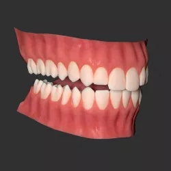 Human mouth Low-poly 3D model