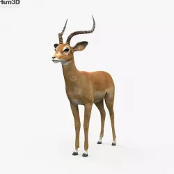Impala HD 3D model