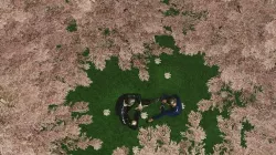 Love in park 3D model