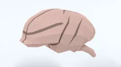 Low Poly Cartoon Monkey Brain Low-poly 3D model