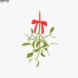 Mistletoe Sprig 3D model