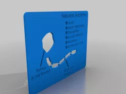 Neuron Anatomy Model