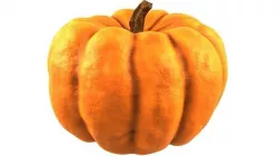 Pumpkin 3D model