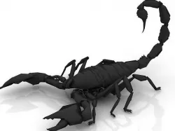 Scorpion - Agressive 3D model 3D model
