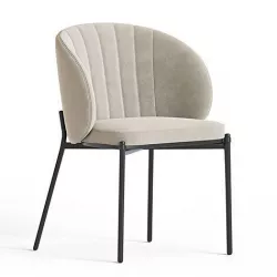 Shell Back Dining Chair 3D model