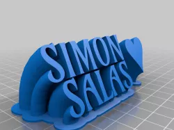 SIMON SALAS