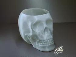 Skull Vase / Bowl