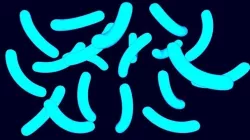 Bacterias 3D model