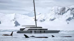 Catamaran explorer 56m 3D model
