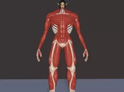 Eren founding titan phase 2 3d model attack on Titan 3D model
