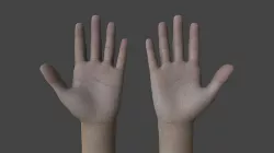 HAND-037 Rigged Hands Low-poly 3D model