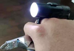 HF Flashlight Ring for pet nail clipping (hands free)