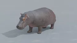 Hippo animated 3D 3D model