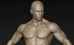 Male Full Body Sculpt Pose 14 3D model