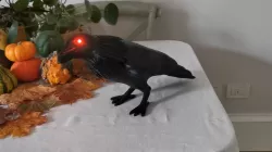 Robotic Halloween Crow