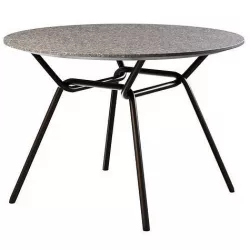 STRAIN Table 3D model
