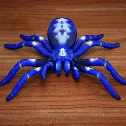 Tarantula - Gooty Sapphire Spider - Poecilotheria Metallica 3D model