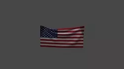 US Flag Low-poly 3D model