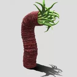 Beast tentacle 3D model