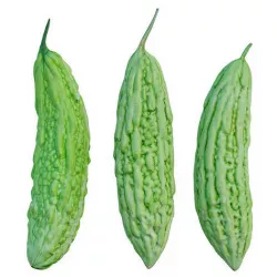 Bitter melon 3D model