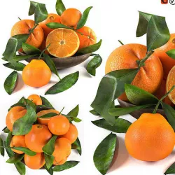 bowl of oranges 3D model