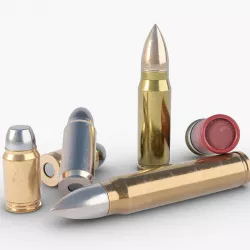 Bullet Pack 3D model