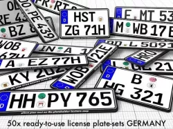 car license plates -ready-to-use- GERMANY Low-poly 3D model