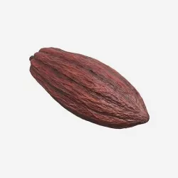 Cocoa Pod 3D model