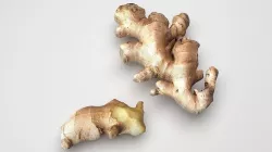 Gingers 3D model