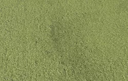 Green Carpet PBR Texture Texture