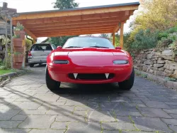 Miata teeth