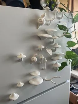MUSHROOM GARDEN MAGNET SET 3D model