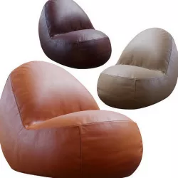 Pinto Leather 3D model