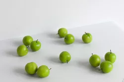 Plum 009 3D model