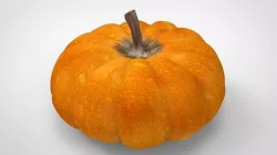 Pumpkin 3D model