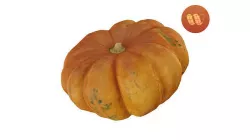 Squash Cucurbita maxima - Real-Time Scanned Low-poly 3D model