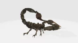 Stringer 3D model