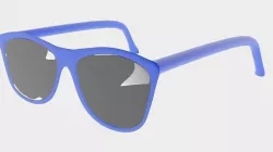 Sunglass 3D model