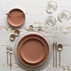 Table Setting 05  3D model