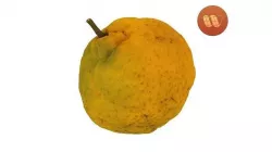 Tangerine - Real-Time Scanned Low-poly 3D model